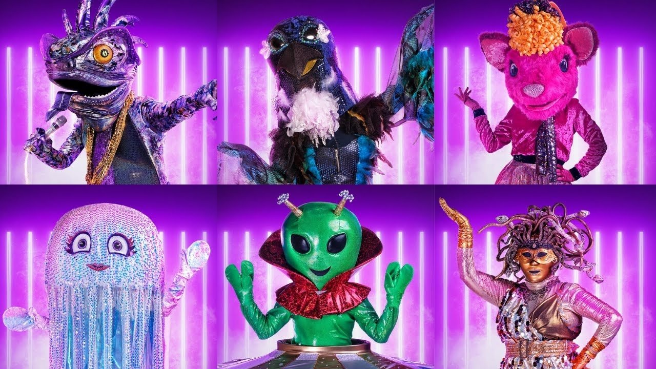 The Masked Singer NZ 2023 Auditions, Application, Requirement